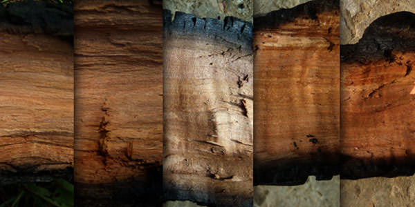 Free High-Quality Damaged and Burnt Wood Textures 4