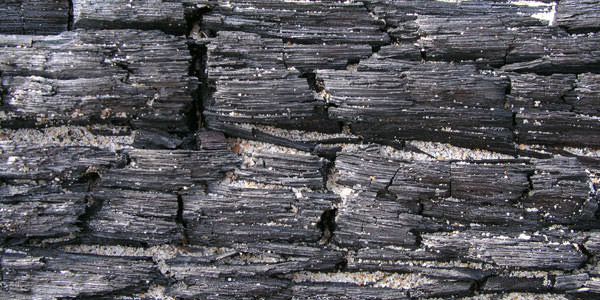Free High-Quality Damaged and Burnt Wood Textures 5