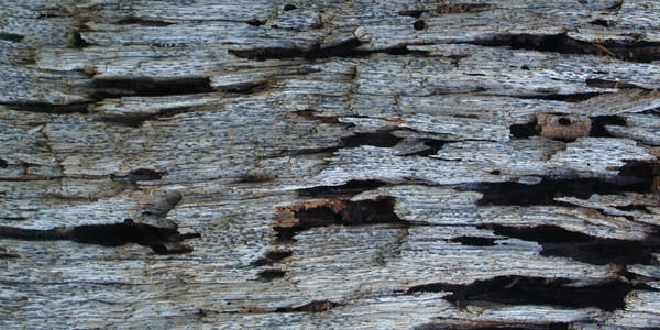 Free High-Quality Damaged and Burnt Wood Textures 7