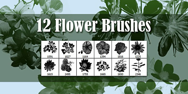 High quality Photoshop Floral Brushes 08