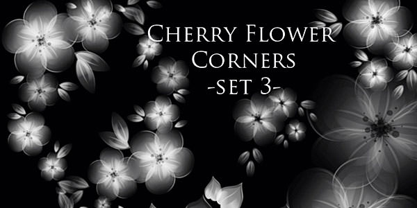 High quality Photoshop Floral Brushes Cherry Flower corners