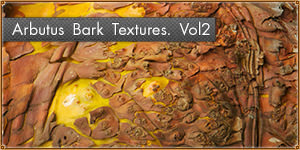 High-Quality Arbutus Bark Textures Vol2