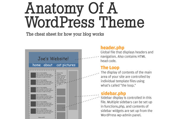 Useful WordPress Infographics and Detailed Cheat Sheets. How WordPress Themes Works ( Infographic )