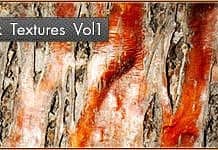 Free High-Quality Bark Textures #1