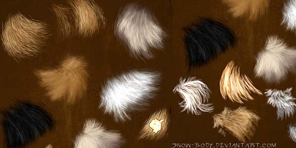 Fur and Hair Photoshop Brushes. Brushes: Fur part: 3