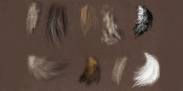Fur and Hair Photoshop Brushes. Brushes: FUR 1