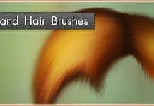 25 Sets of Fur and Hair Photoshop Brushes