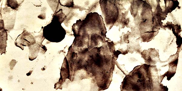 Water Stains and Ink Blots Photoshop Brushes. 28 Tea Stain Brushes
