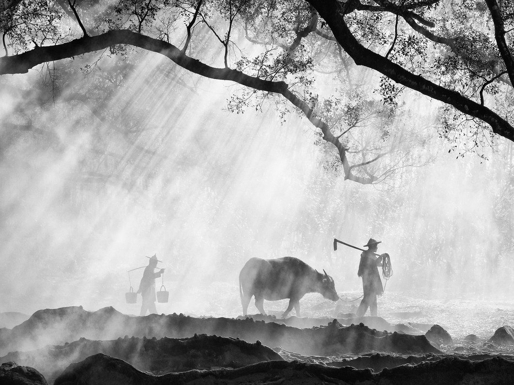 Ancient Farming. Disappearing cultures. Myanmar's and Chinese spiritual photos by Oliver Klink