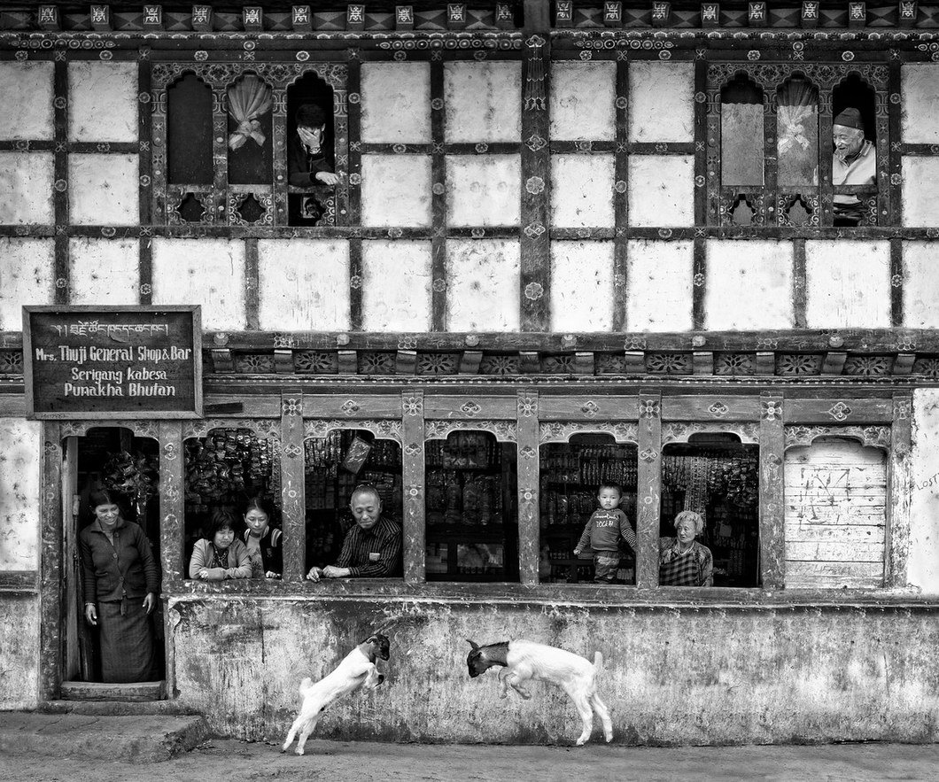 Herding instinct. Disappearing cultures. Myanmar's and Chinese spiritual photos by Oliver Klink