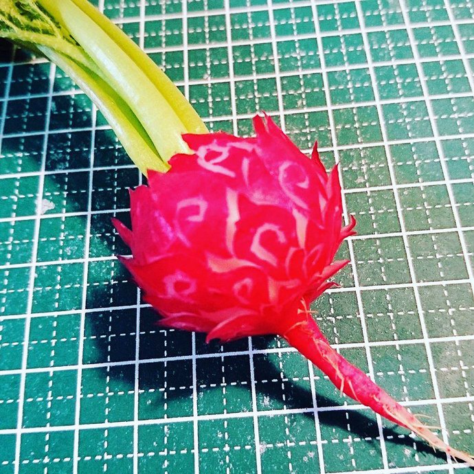 Radish. Mukimono 剥き物. Fruit-vegetable carving. Japanese virtuoso Gaku