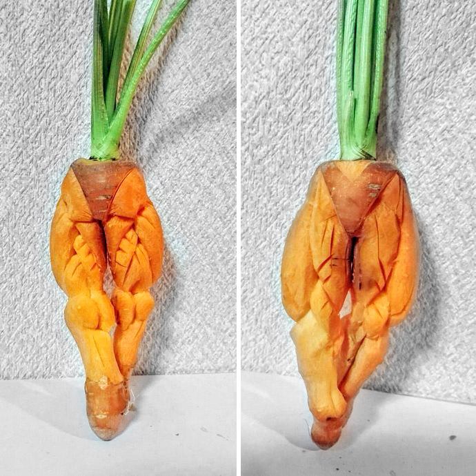 Carrot legs. Mukimono 剥き物. Fruit-vegetable carving. Japanese virtuoso Gaku