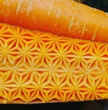 Fruit-vegetable Carving. Intricate Patterns on Food by Japanese Virtuoso Gaku