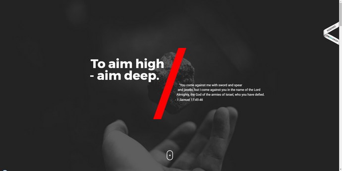 Solid monochromatic background in web design. Site for inspiration