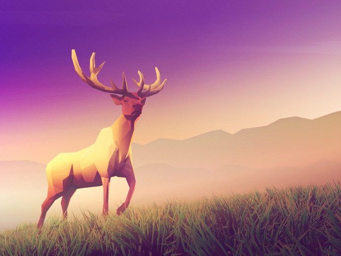 Awesome Vector Illustration. High detailed abstractions and low poly animals that catch your eyes